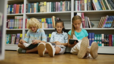 Máster Universitario en Didáctica de la Lengua en Educación Infantil y Primaria