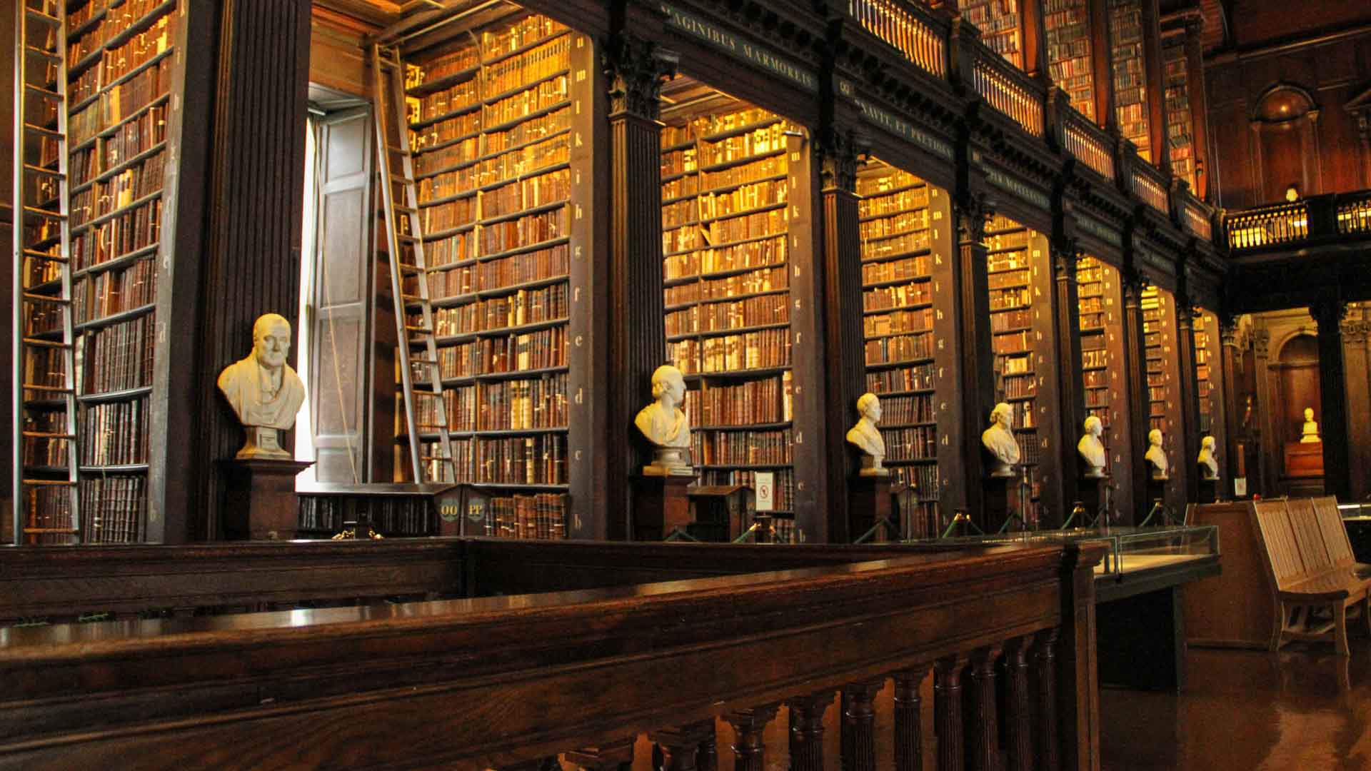 Grado en Humanidades