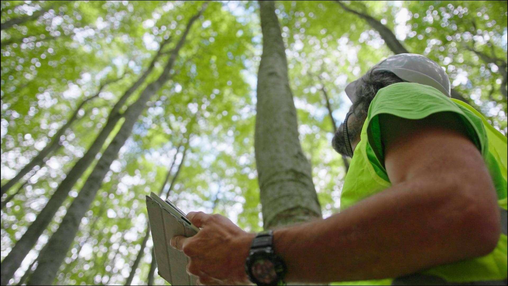 Máster Universitario en Gestión Ambiental y Energética en las Organizaciones