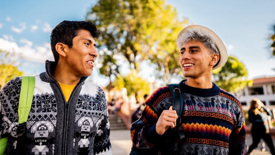 En la orientación vocacional las lenguas quechuas o aymaras representan la lengua nativa de muchos estudiantes peruanos.