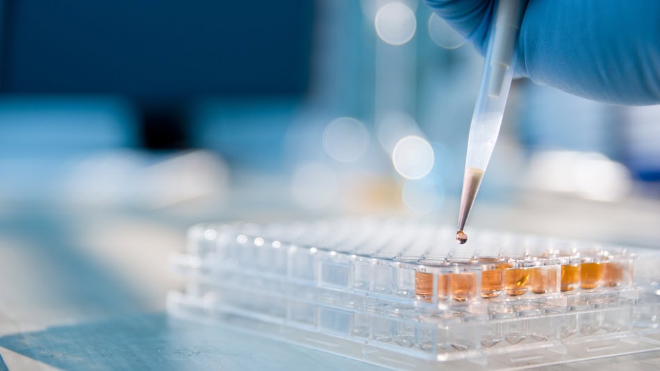 Un tecnólogo médico puede trabajar en hospitales y clínicas, laboratorios de investigación, bancos de sangre y tejidos