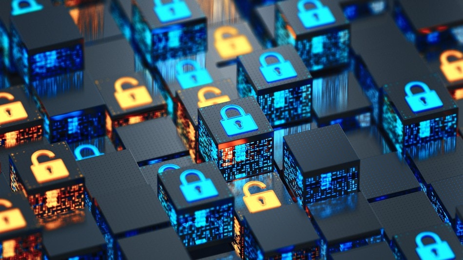 La ciberseguridad web es un área importante dentro de la Malla curricular de Ingeniería de Software