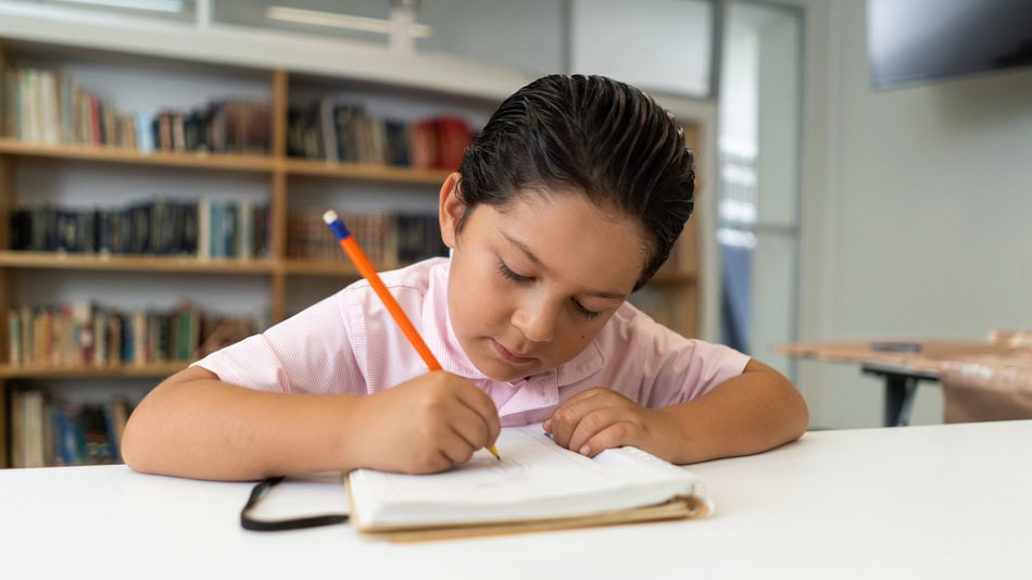 el desarrollo de la lectoescritura permite mejorar la comprensión de textos escolares
