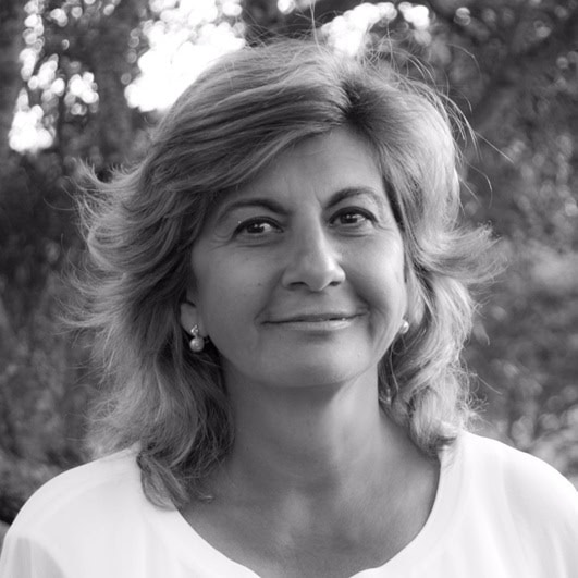 Ana María Gil Antón, Experto asociado