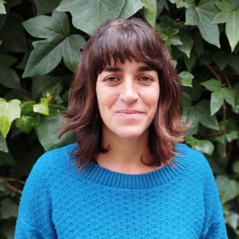 Ana Pérez-Montero Gómez, Docente UNIR