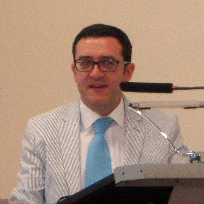 Andrés Navarro Ruiz, Experto asociado
