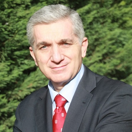 Antonio de la Peña Zarzuelo, Docente UNIR