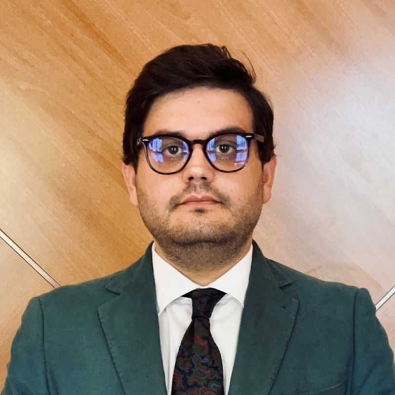 Carlos Babiano Mendoza, Experto Asociado