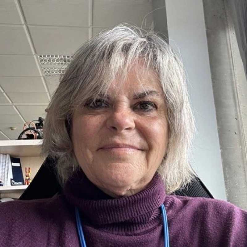 Carmen Lidia Aguiar Castillo, Docente UNIR