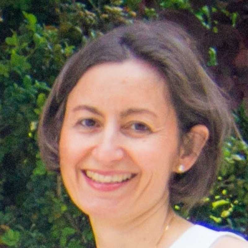 Carmen Pérez Gandía, Docente UNIR