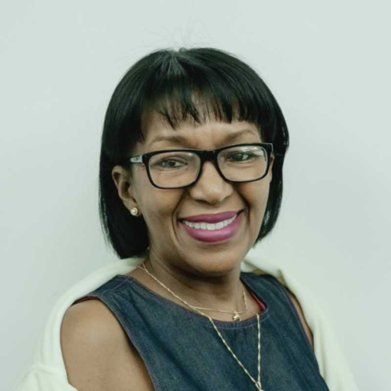 Carmen Verde Arocha, Experta Asociada