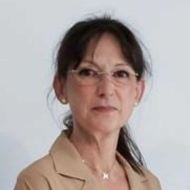 Cecília Borràs Murcia, Experta asociada