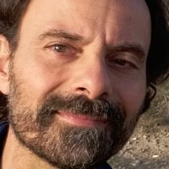 Domenico Fiormonte, Experto asociado