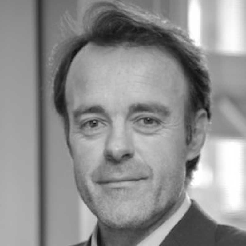 Gonzalo Martínez Flechoso, Docente UNIR