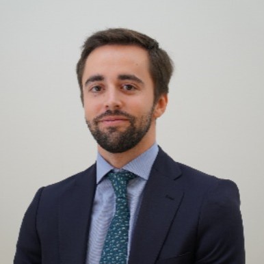 Guillermo Avilés Suárez, Experto Asociado