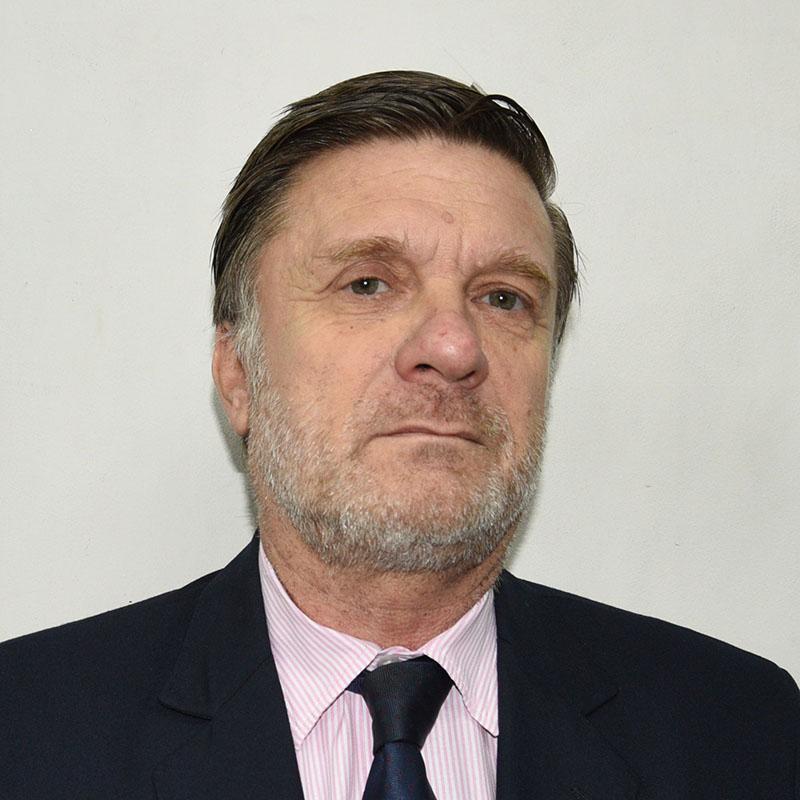 Hugo Patricio Pierri, Experto asociado