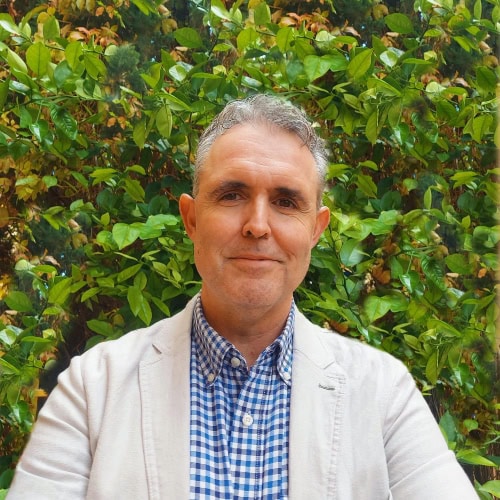 José Luis de Vicente Romeral, Experto asociado