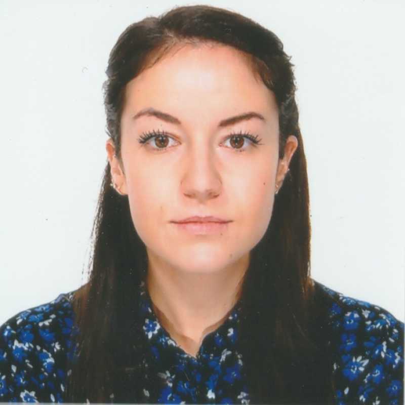 Lorena Arce Romeral, Docente UNIR