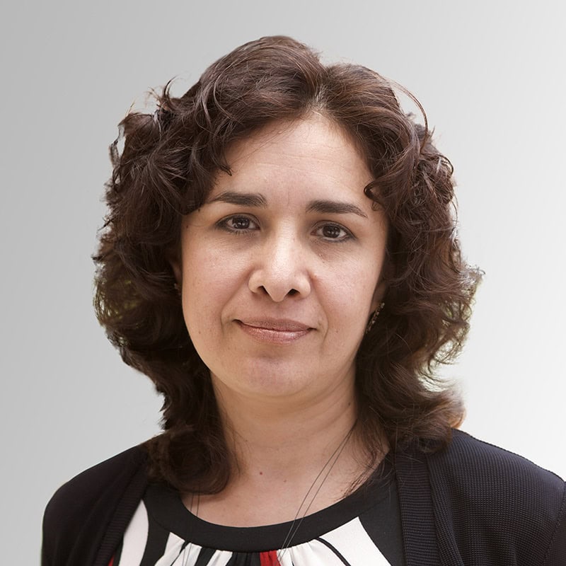 Luz María Rangel Alanís, Docente UNIR