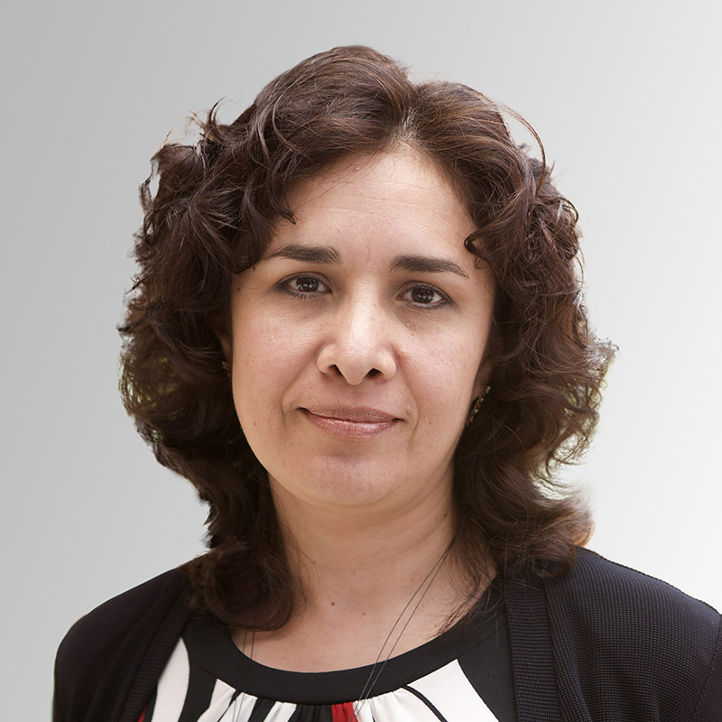 Luz María Rangel Alanís, Profesora