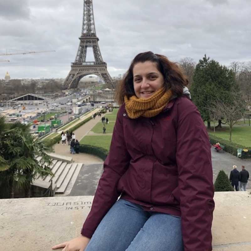 María Ángeles Pérez Martín, Docente UNIR