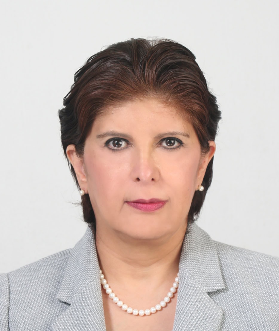 María del Carmen Gloria Tenorio, Prestadora de Servicios Profesionales