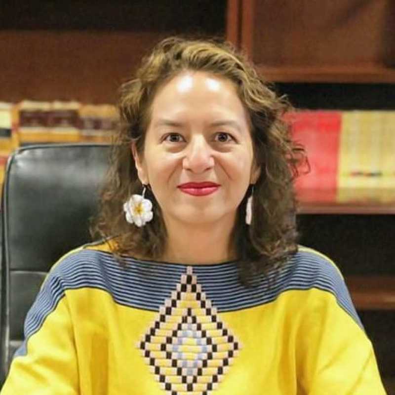 María del Carmen Nava Polina, Experta asociada