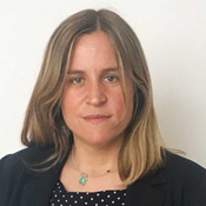 Mercedes Pérez Agustín, Docente UNIR