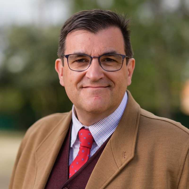 Ricardo María Jiménez Yáñez, Profesor