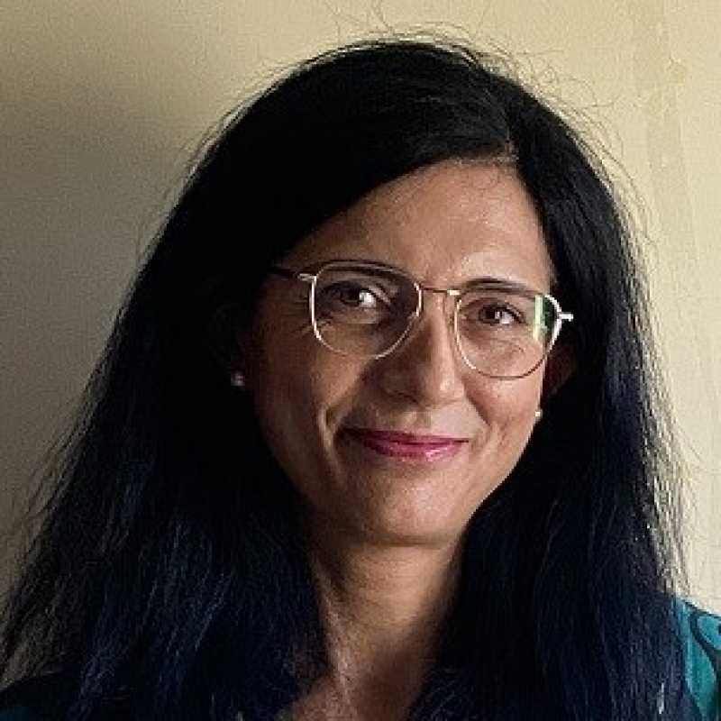 Rosa Blanca Vintanel Lucientes, Docente UNIR