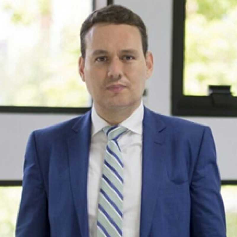 Tomás J. Aliste Santos, Director académico